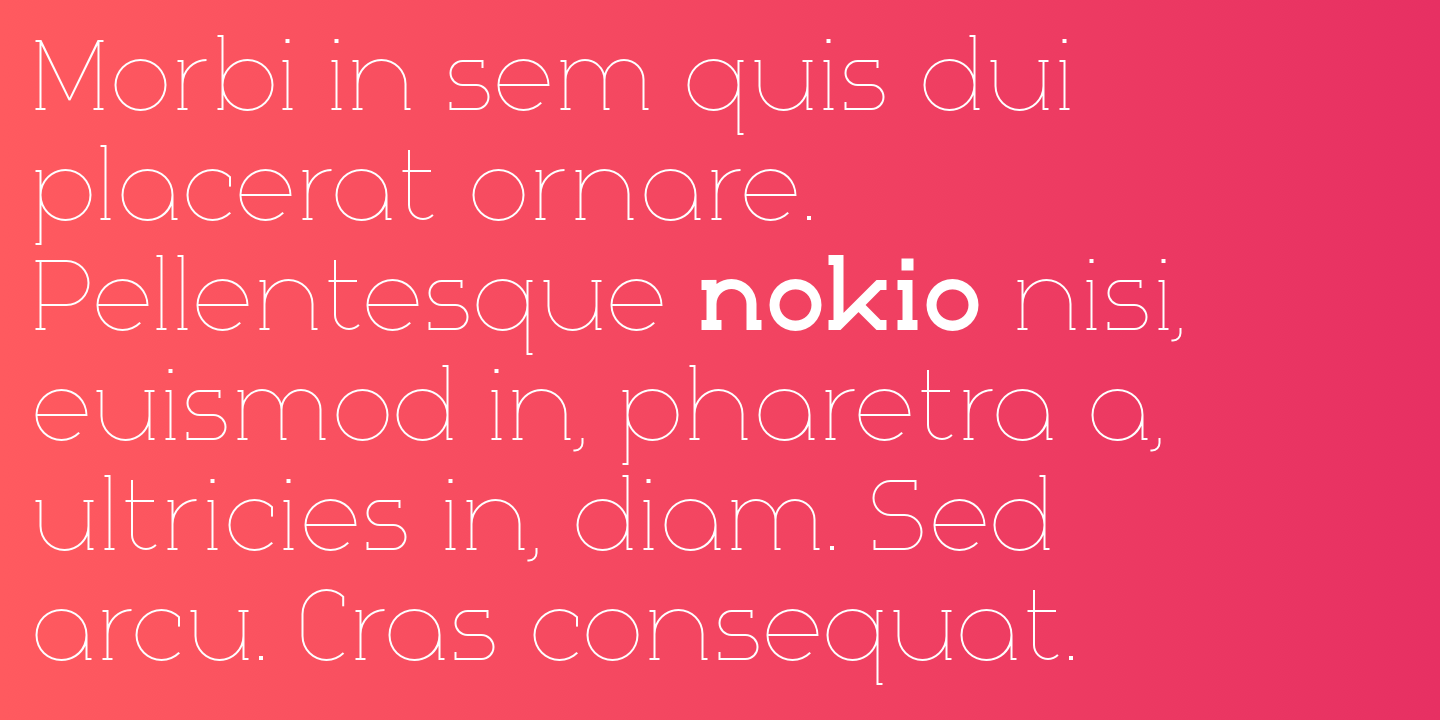 Beispiel einer Nokio Slab-Schriftart #8